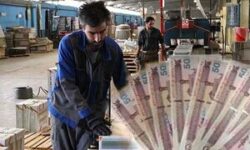 سبد معیشت از ۳۰ میلیون تومان به بالا است