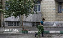 صدور هشدار نارنجی برای تقویت بادهای ۱۲۰ روزه